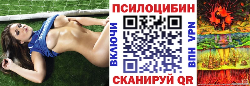 ссылка на мегу как зайти  Мамадыш  Псилоцибиновые грибы Psilocybe 